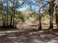 Ogeechee River Plantation Tract 1 : Millen : Jenkins County : Georgia