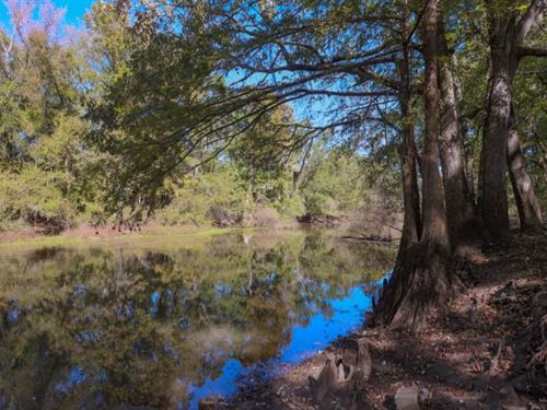 Ogeechee River Plantation Tract 1 : Millen : Jenkins County : Georgia