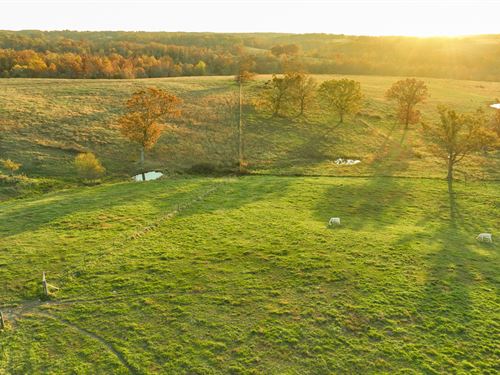 Beaver Creek Ranch : Graff : Texas County : Missouri