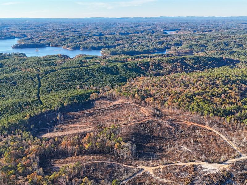 55 Acres Near Lake Martin, Tallap : Jacksons Gap : Tallapoosa County : Alabama