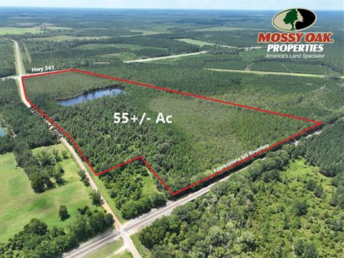 55 Acres With 4.75 Acre Lake : Jesup : Wayne County : Georgia