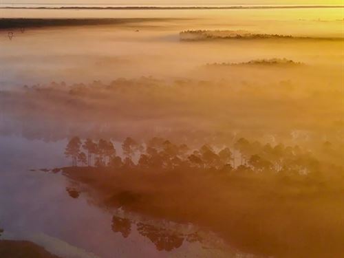 2,511 Acres in Hancock County Whis : Perkinston : Hancock County : Mississippi