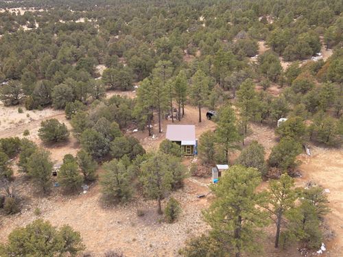 25.39 Acres in Catron County, NM : Pie Town : Catron County : New Mexico