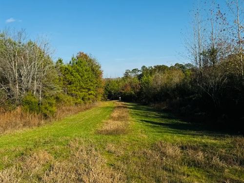 36.3 Acres in Attala County, MS : Sallis : Attala County : Mississippi