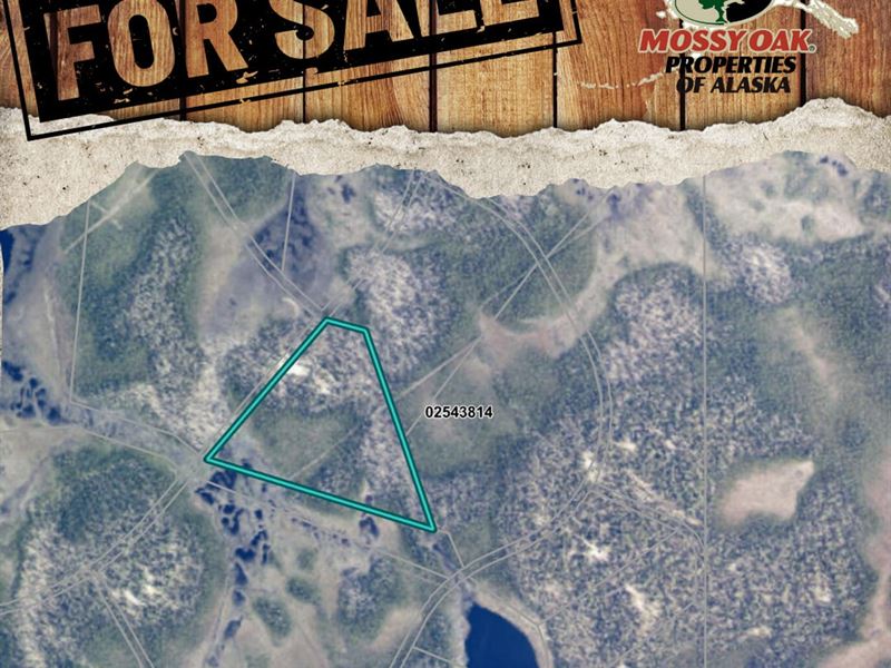 Remote Moose Point Area : Nikiski : Kenai Peninsula Borough : Alaska