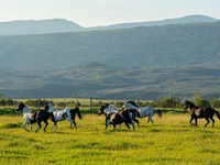 The Gates Ranch, Colorado Mountain : Burns : Eagle County : Colorado