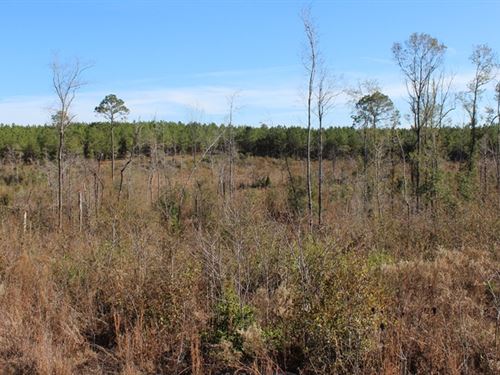 Homestead/ Recreational/ Investment : Dublin : Laurens County : Georgia