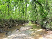 1444Ac Adjacent to BF Grant Forest : Shady Dale : Putnam County : Georgia