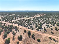 Huge 20.07 Acres in Show Low AZ : Show Low : Navajo County : Arizona