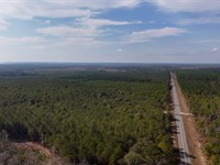 Bells Ferry Road Tract : Lumber City : Wheeler County : Georgia