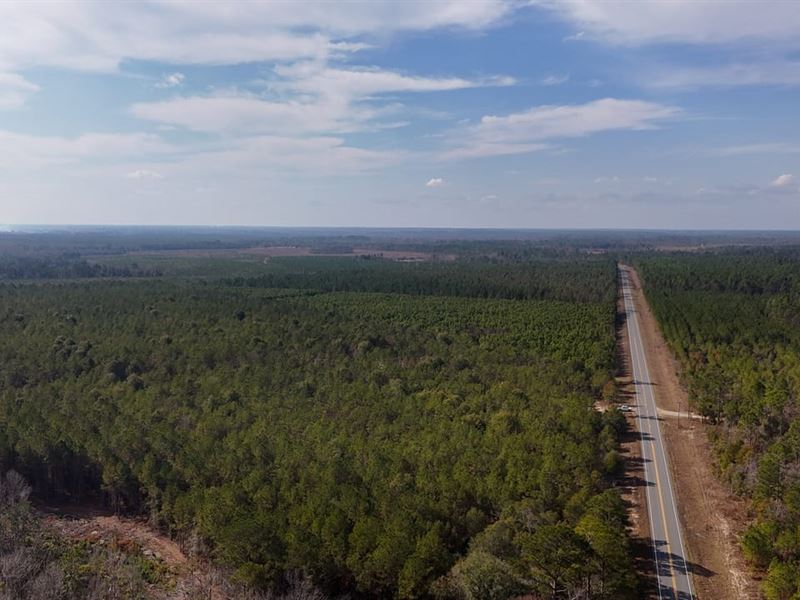 Bells Ferry Road Tract : Lumber City : Telfair County : Georgia