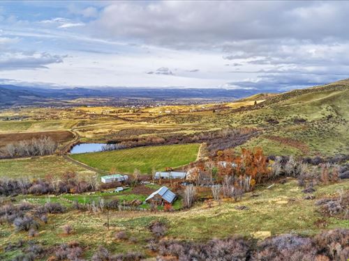 Council Mountain South Ranch : Council : Adams County : Idaho