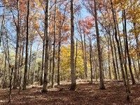 Three Star Tract : Carlton : Oglethorpe County : Georgia