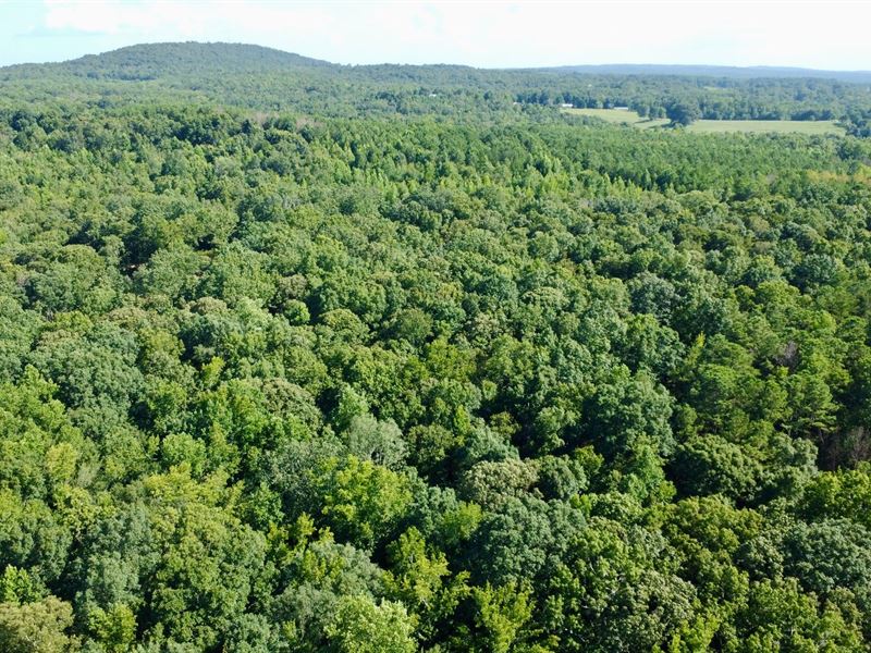 128 Acres in Carroll County : Bowdon : Carroll County : Georgia