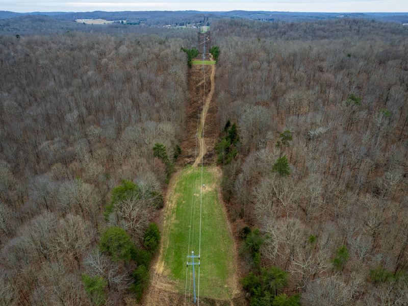 130 Acre Turn-Key Hunting Proper : Belton : Muhlenberg County : Kentucky