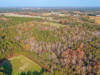 41.5 Acres of Timber, Farmland & Op : Teachey : Duplin County : North Carolina