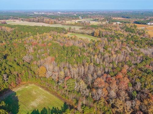 41.5 Acres of Timber, Farmland & Op : Teachey : Duplin County : North Carolina