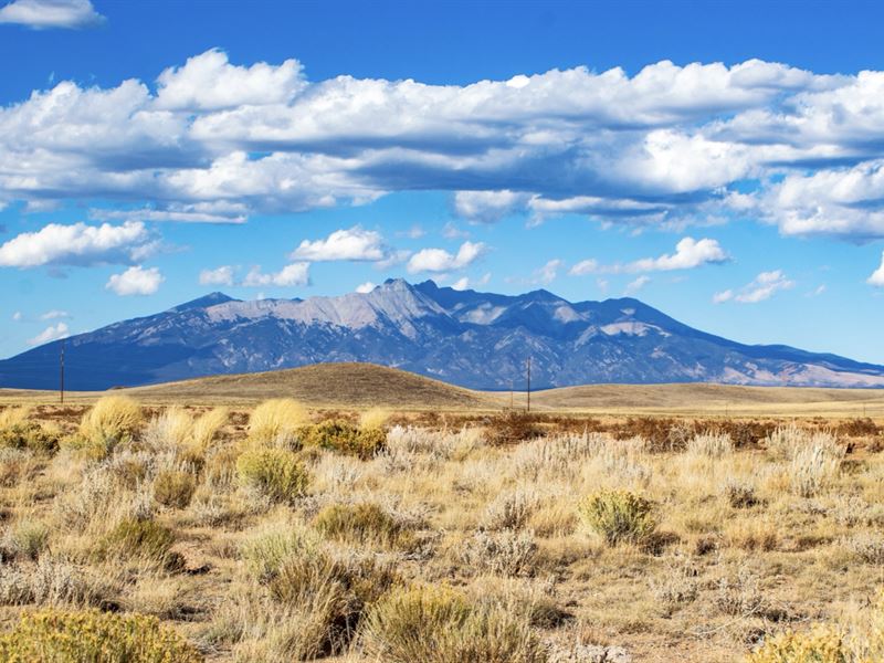 40 Acres w Power & Mountain Views : San Luis : Costilla County : Colorado