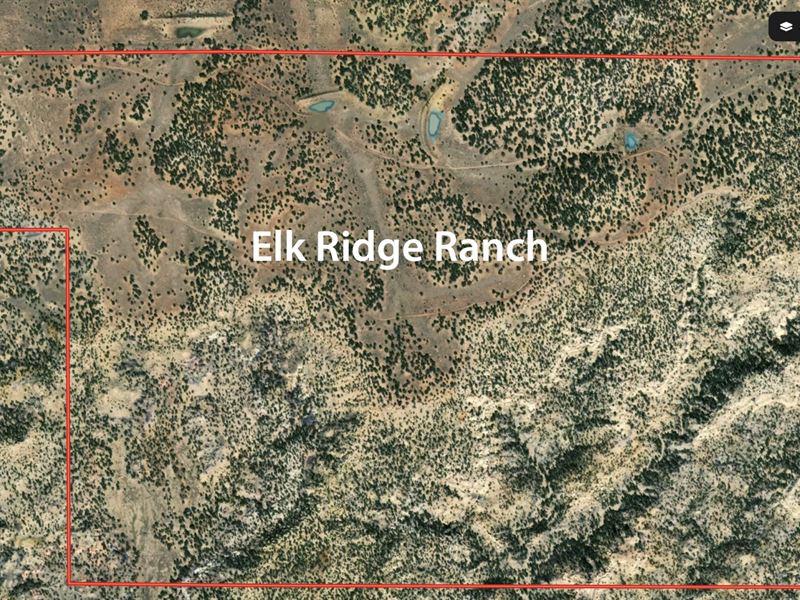 Elk Ridge Ranch : Fence Lake : Cibola County : New Mexico