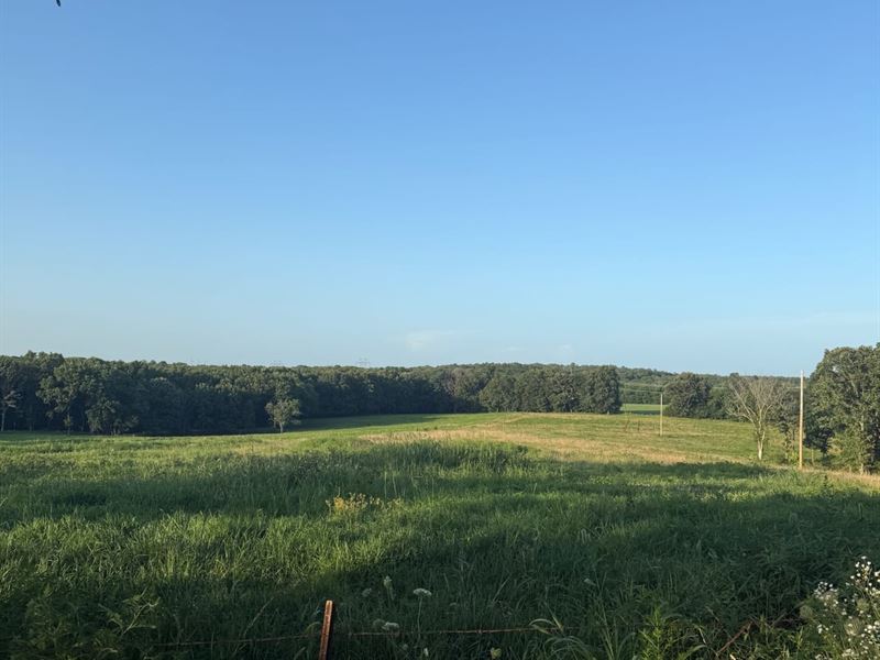 Laclede Co. Hobby Farm : Richland : Pulaski County : Missouri