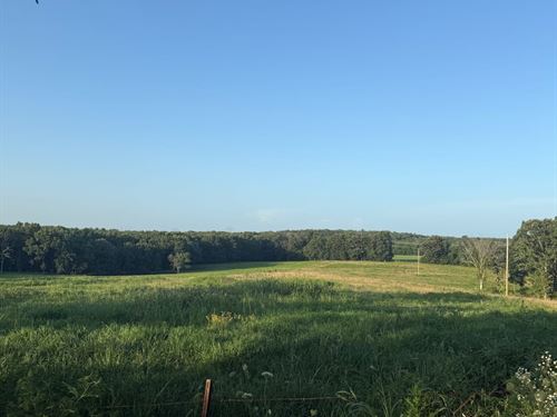 Laclede Co. Hobby Farm : Richland : Pulaski County : Missouri