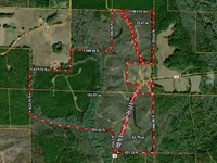 260 Acres, Milport Alabama : Millport : Lamar County : Alabama