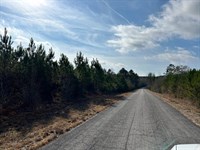 42 Acres, Millport Alabama : Millport : Lamar County : Alabama