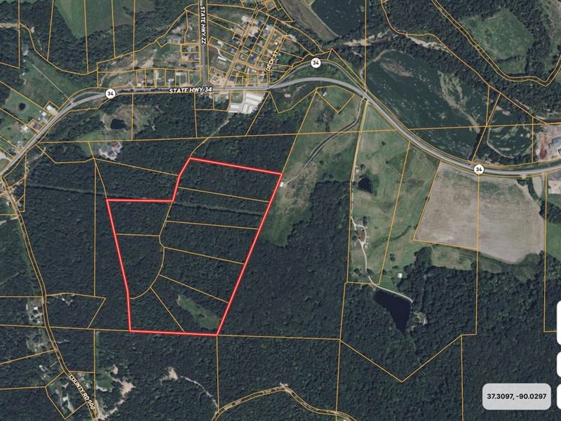 62 AC Hunting Farm for Sale : Glen Allen : Bollinger County : Missouri