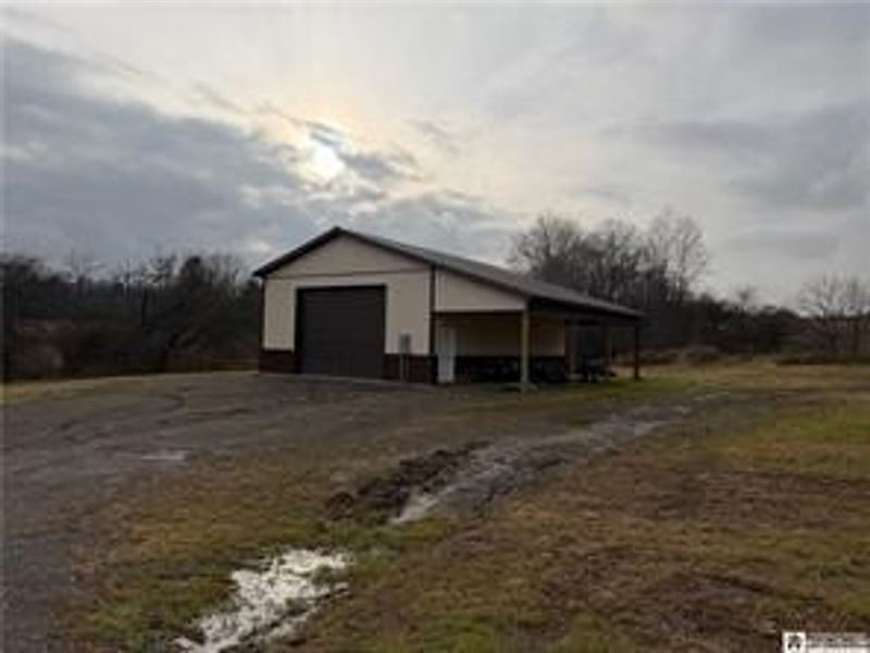 61-Acre Whitetail Sanctuary, Mayvi : Chautauqua : Chautauqua County : New York