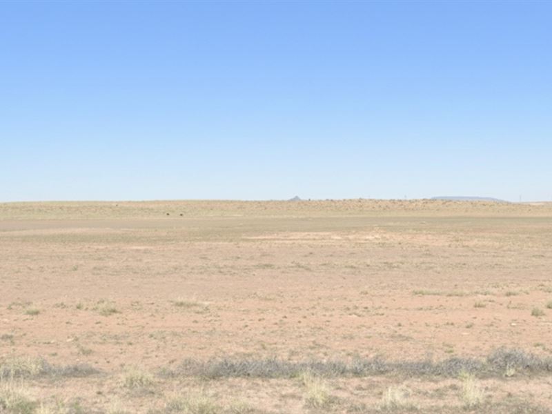 Buy Your Huge 40 Acres Arizona Land : Winslow : Navajo County : Arizona