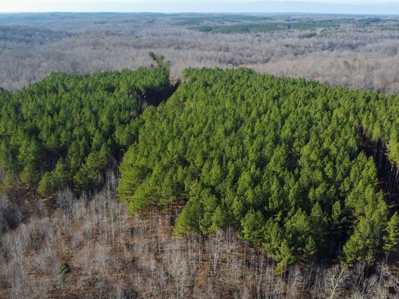 South Fork Tract : Stewart : Houston County : Tennessee