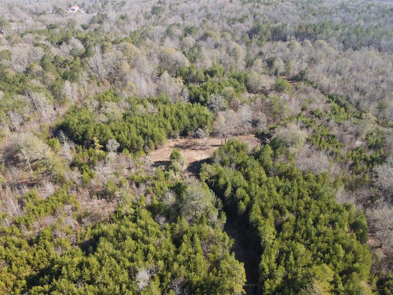 20 Acres in Talladega County : Eastaboga : Talladega County : Alabama