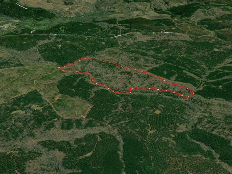 119.50Ac, 000 Overbrook Rd Ker : Kershaw : Kershaw County : South Carolina