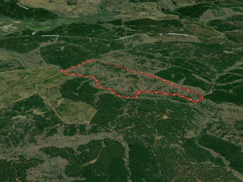 119.50Ac, 000 Overbrook Rd Ker : Kershaw : South Carolina