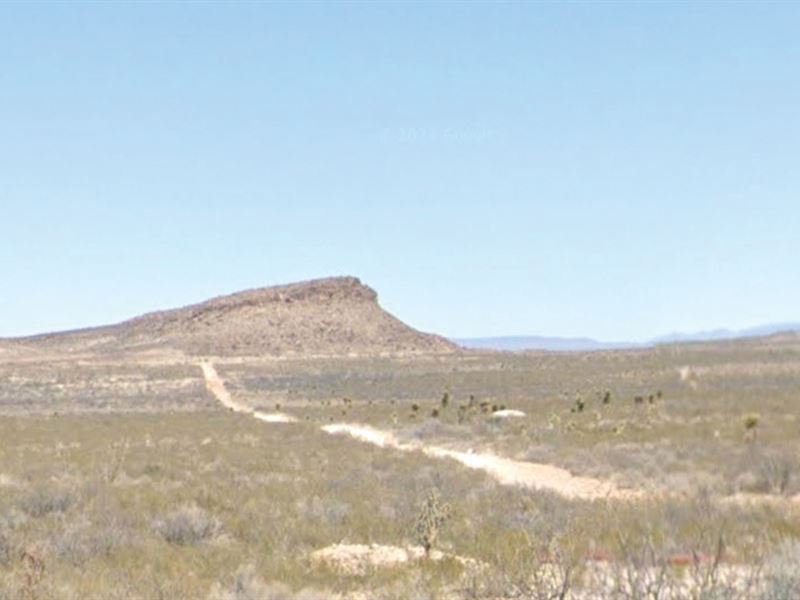 Prime Investment 100 Acres in Texas : Sierra Blanca : Hudspeth County : Texas