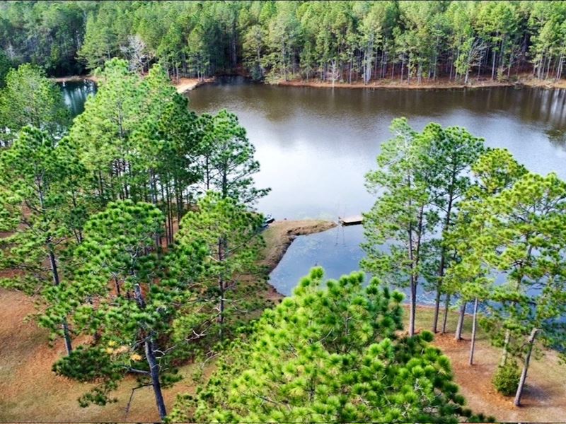 3947 Purvis Columbia Rd, Lumberton : Lumberton : Lamar County : Mississippi