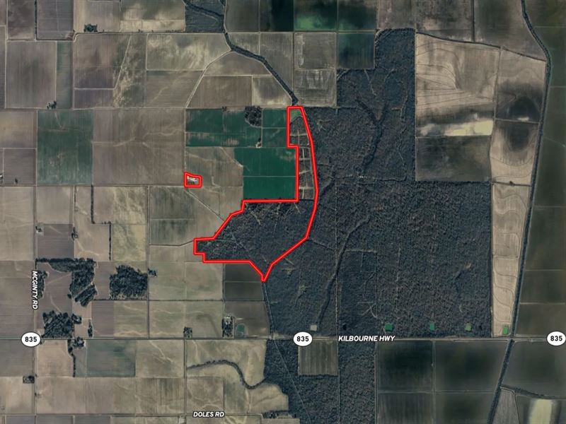 La, Morehouse 205 Acres : Jones : Morehouse Parish : Louisiana