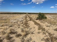 Las Animas Ranches, Delhi, CO 8 : Delhi : Las Animas County : Colorado
