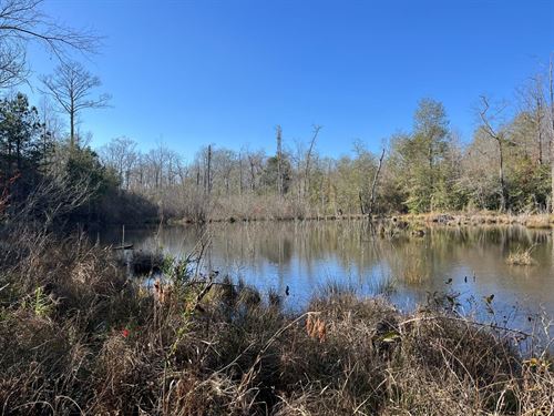 Beaver Pond 18 Bear Creek Road : Gordo : Pickens County : Alabama