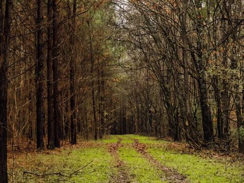 175.66 Acres in Yazoo County, MS : Benton : Yazoo County : Mississippi