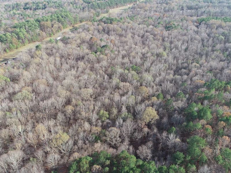 63 Acres in Grenada County, MS : Grenada : Grenada County : Mississippi