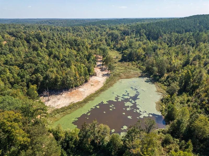 650 Acres Timberland and Lake Site : Pittsboro : Calhoun County : Mississippi