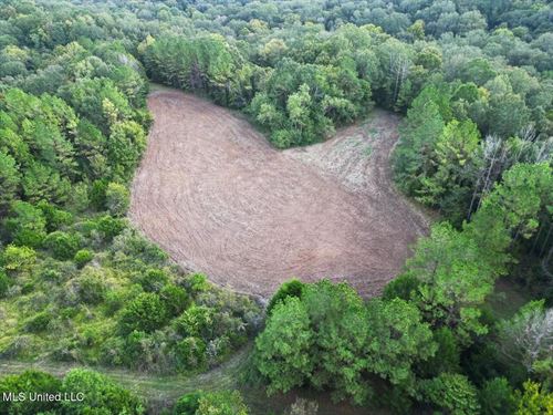 Turkey Roost Lodge in Wilkinson Cou : Woodville : Wilkinson County : Mississippi