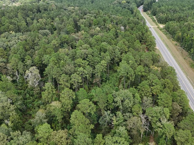Hunting and Timberland, Homesite : Trout : La Salle Parish : Louisiana