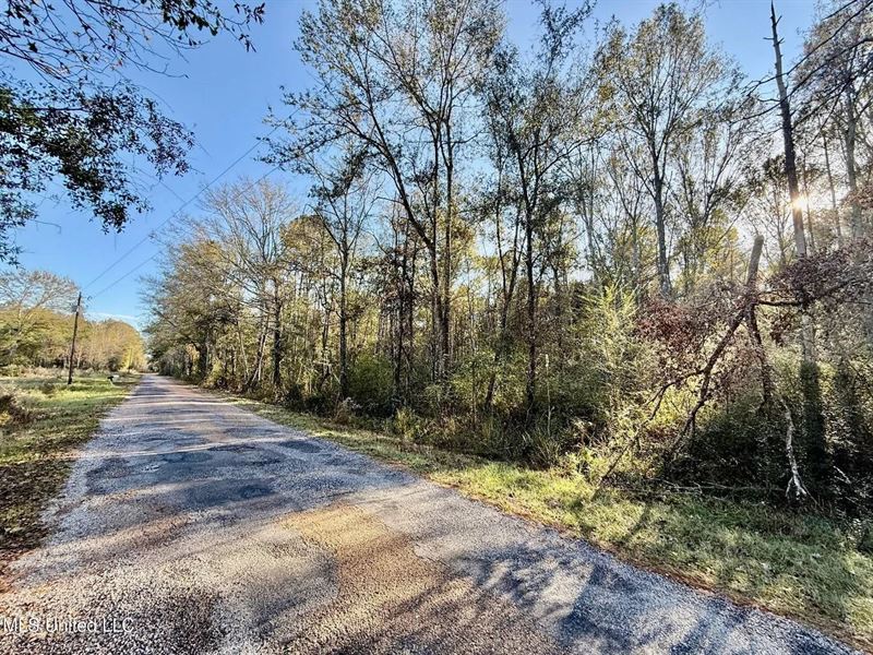 10 Acres Wooded Homesite & Hunting : Smithdale : Lincoln County : Mississippi