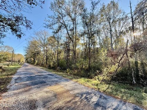 10 Acres Wooded Homesite & Hunting : Smithdale : Lincoln County : Mississippi