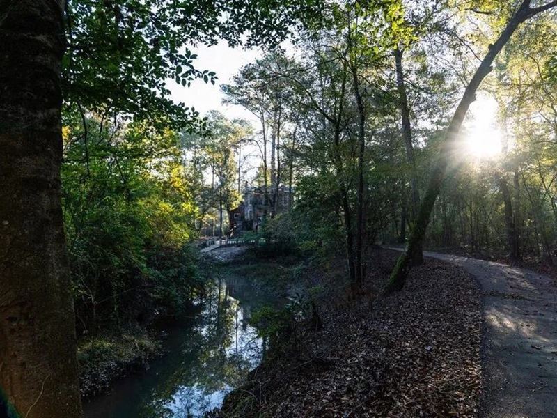 233-Acre Paradise on The Tickfaw RI : Osyka : Amite County : Mississippi