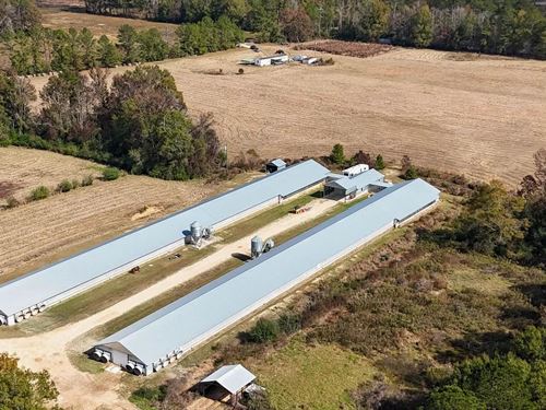 Income-Producing Poultry Farm in Si : Silver Creek : Lawrence County : Mississippi