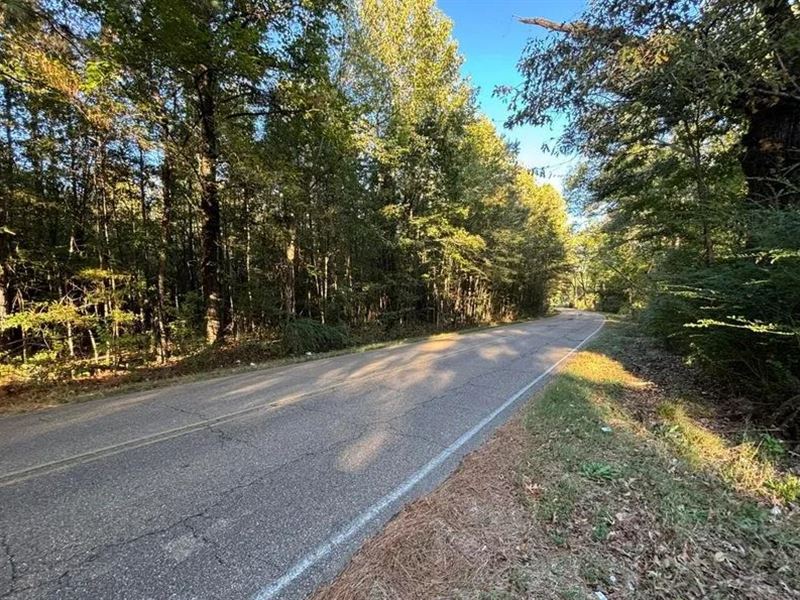28 Acres for Sale South Jackson, HI : Jackson : Hinds County : Mississippi