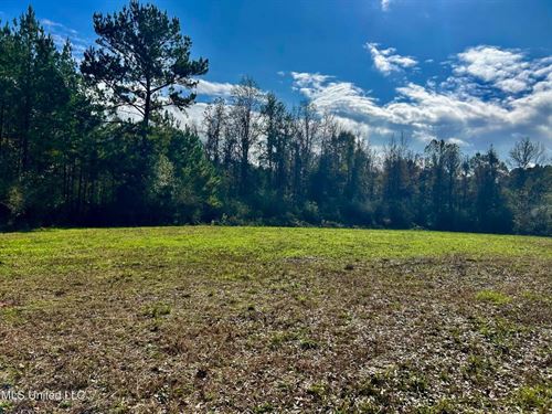 39.7 Acres in Brookhaven MS : Brookhaven : Lincoln County : Mississippi